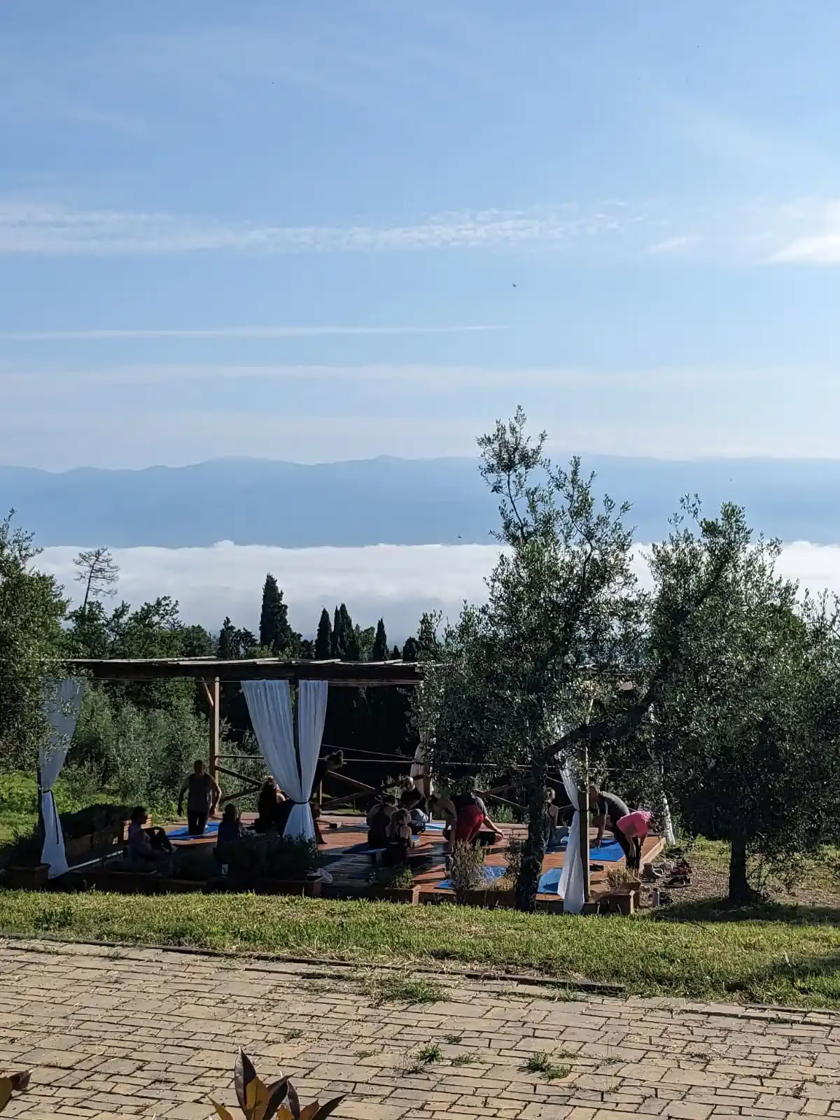Йога и фитнес — (5 дней/4 ночи)