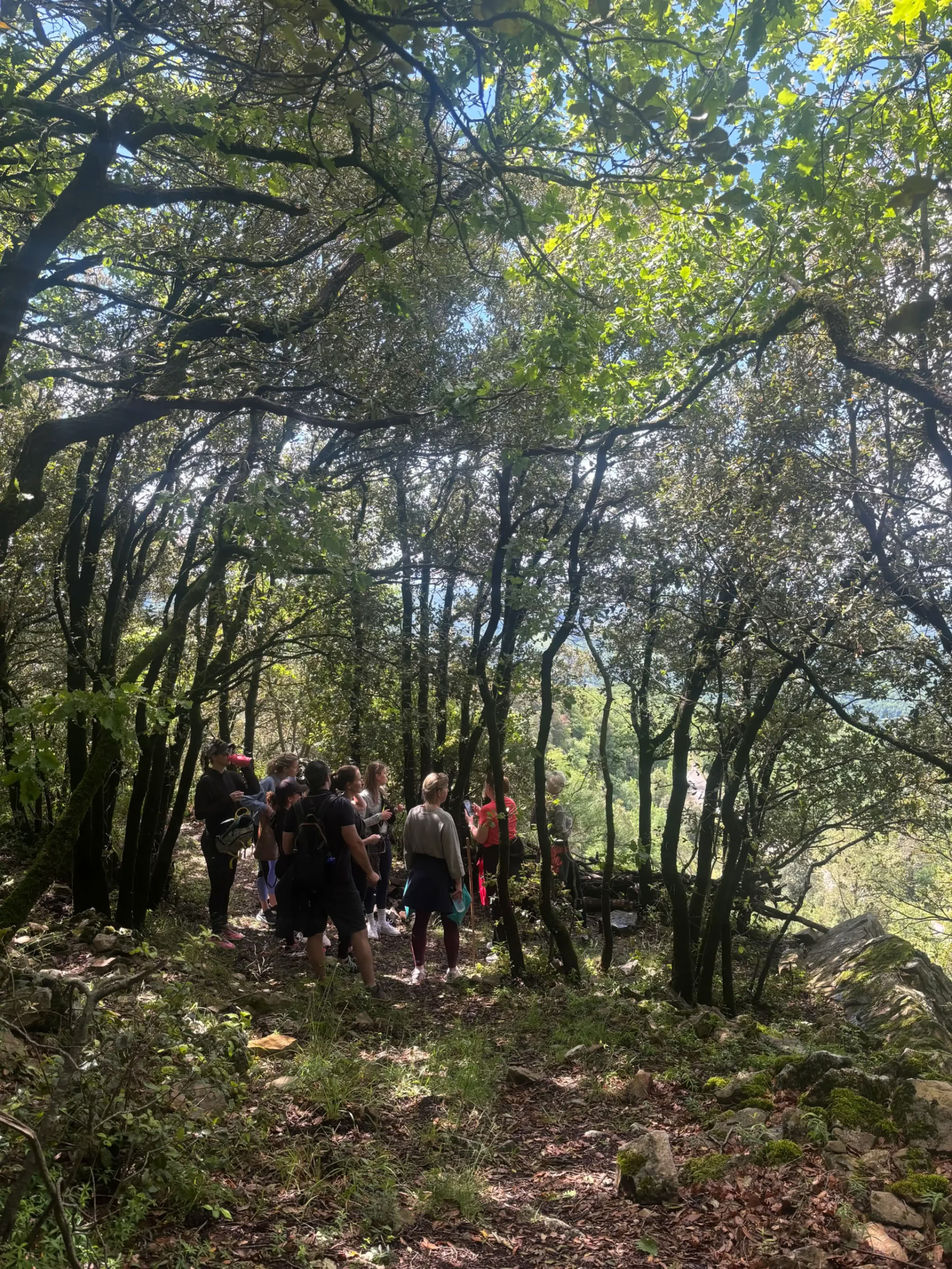 Ретрит йоги и фитнеса в Тоскане