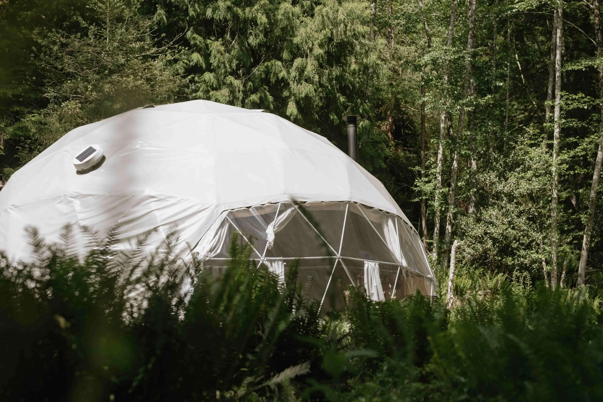 Дневной ретрит «Возвращение к радости» с Slow Burn Wellness | Nectar Yoga Bowen Island