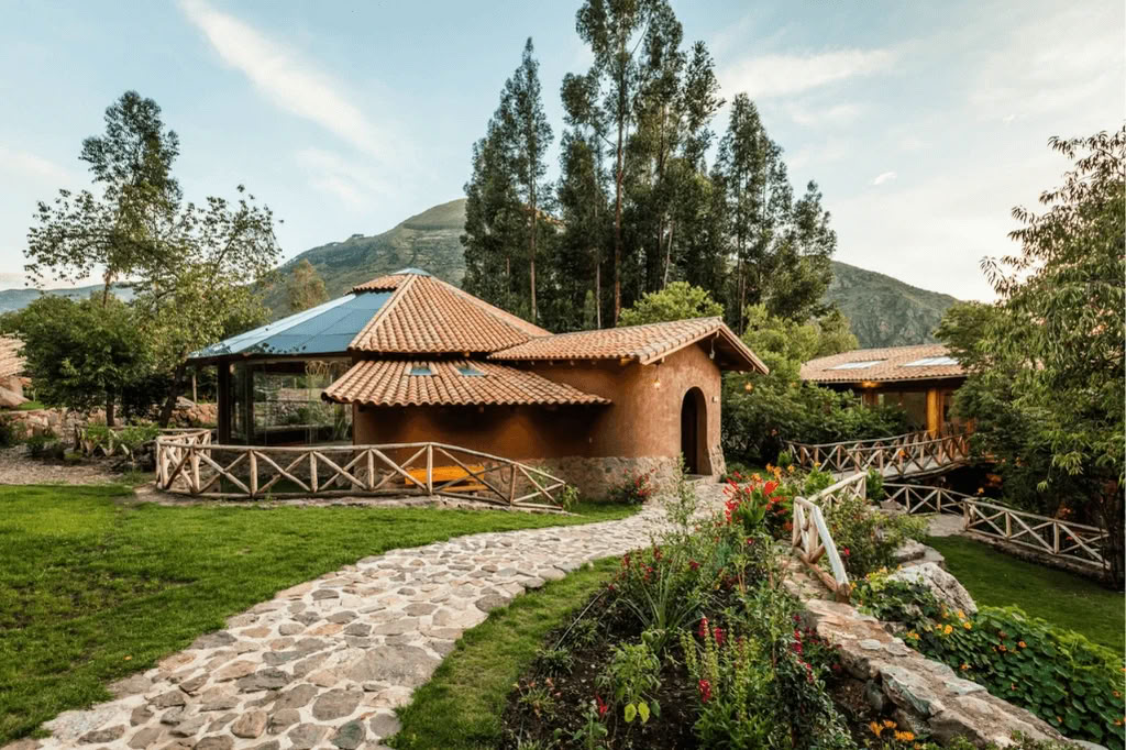 Амазонка — Blue Morpho Lodge: 3 аяуаски и 1 Сан-Педро