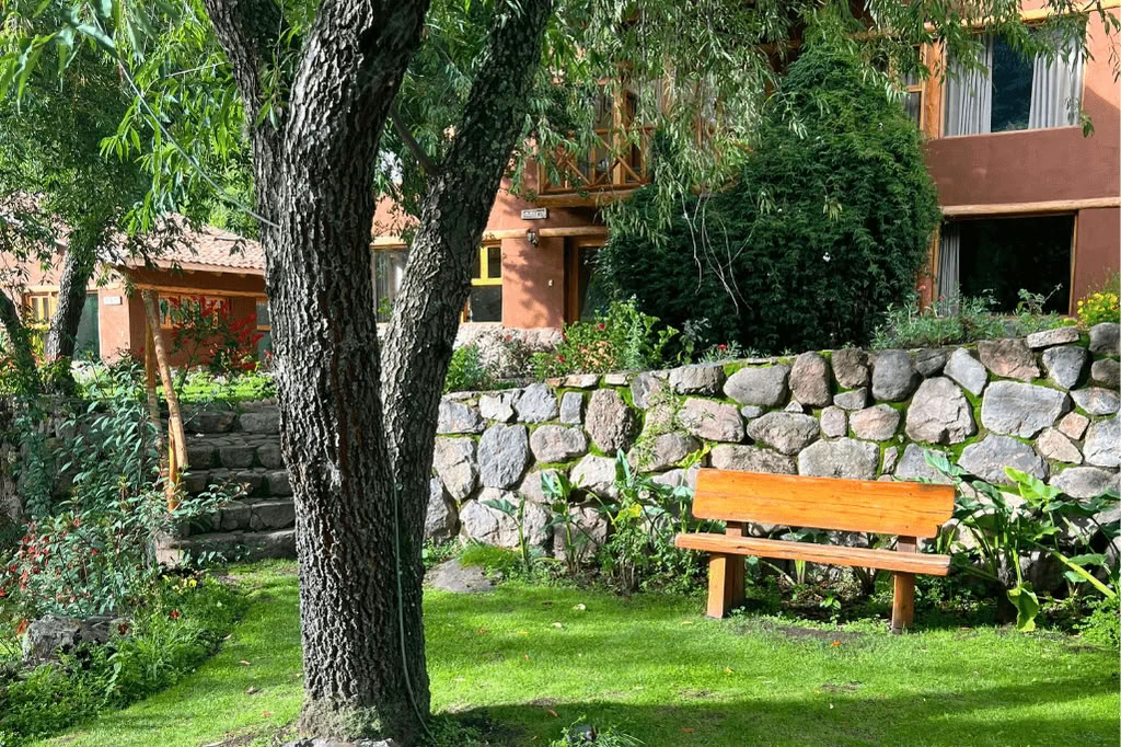 Амазонка — Blue Morpho Lodge: 3 аяуаски и 1 Сан-Педро