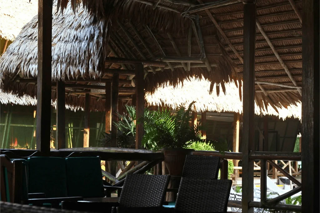 Амазонка — Blue Morpho Lodge: 3 аяуаски и 1 Сан-Педро