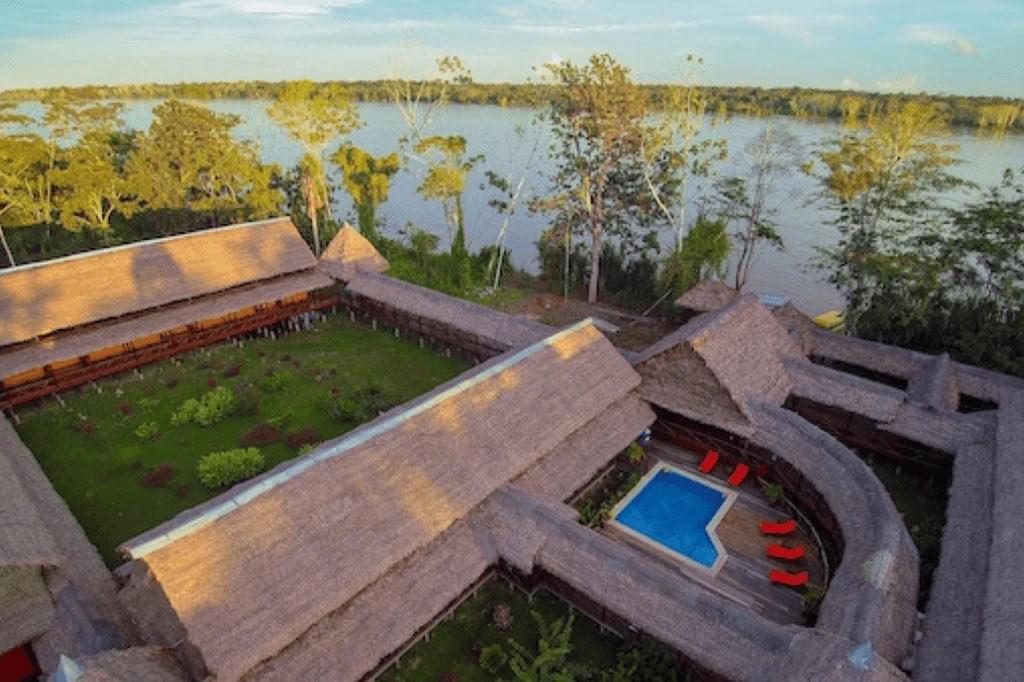 Амазонка — Blue Morpho Lodge: 3 аяуаски и 1 Сан-Педро