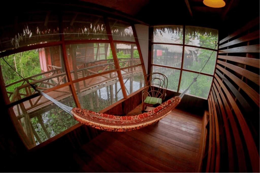 Амазонка — Blue Morpho Lodge: 3 аяуаски и 1 Сан-Педро