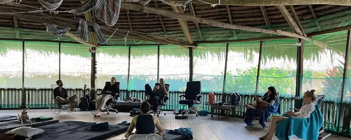 Амазонка — Blue Morpho Lodge: 3 аяуаски и 1 Сан-Педро