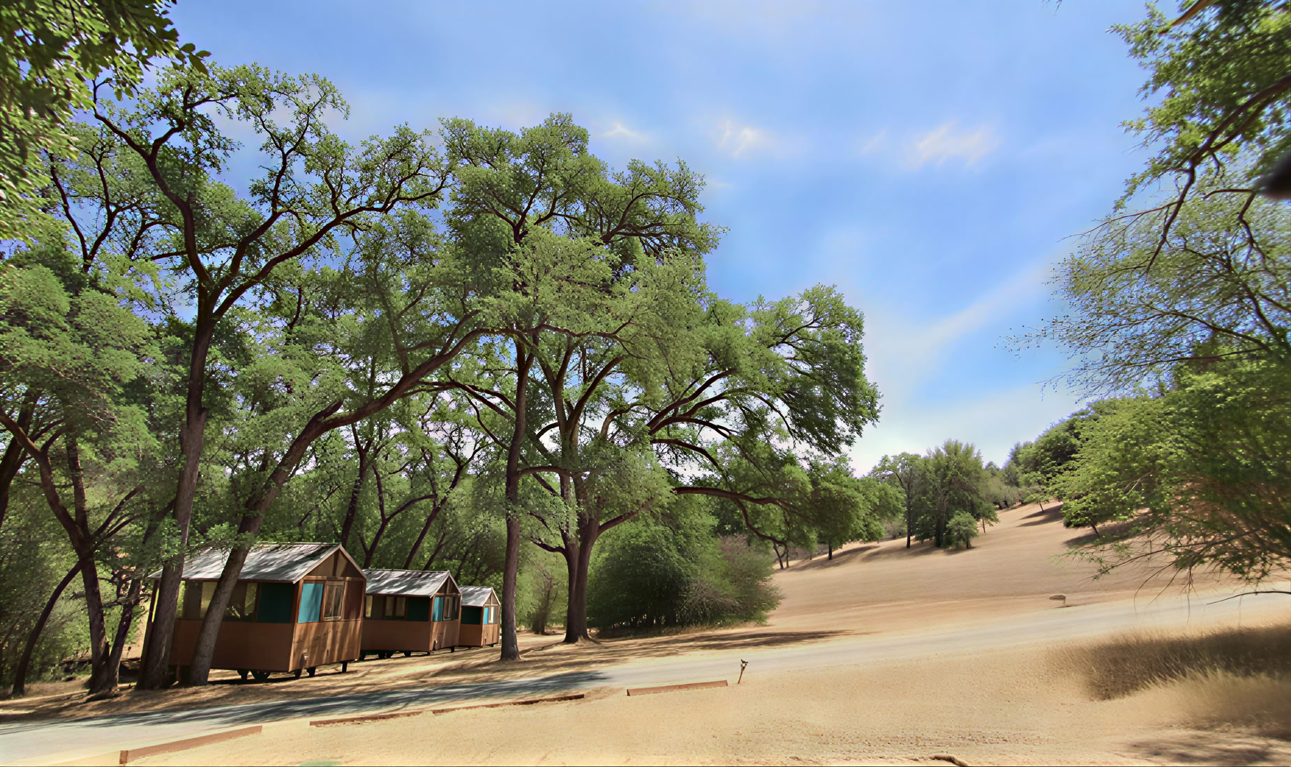 Исследуйте основы йоги и жизни
