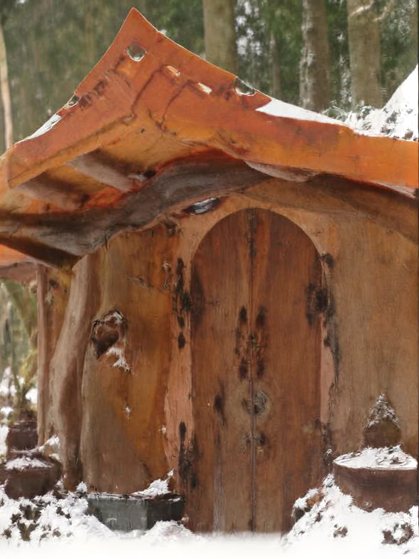 5-дневный ретрит