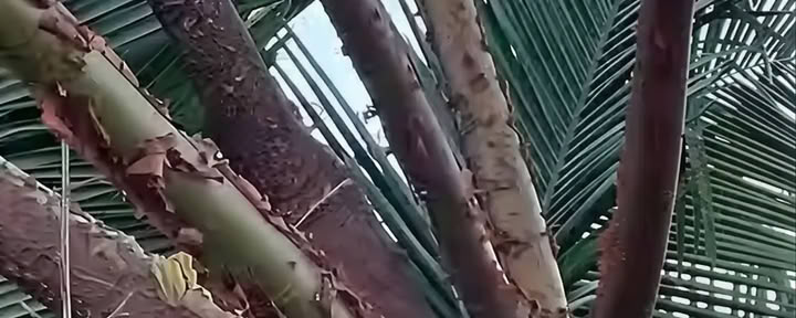 Ретрит для гармонизации души