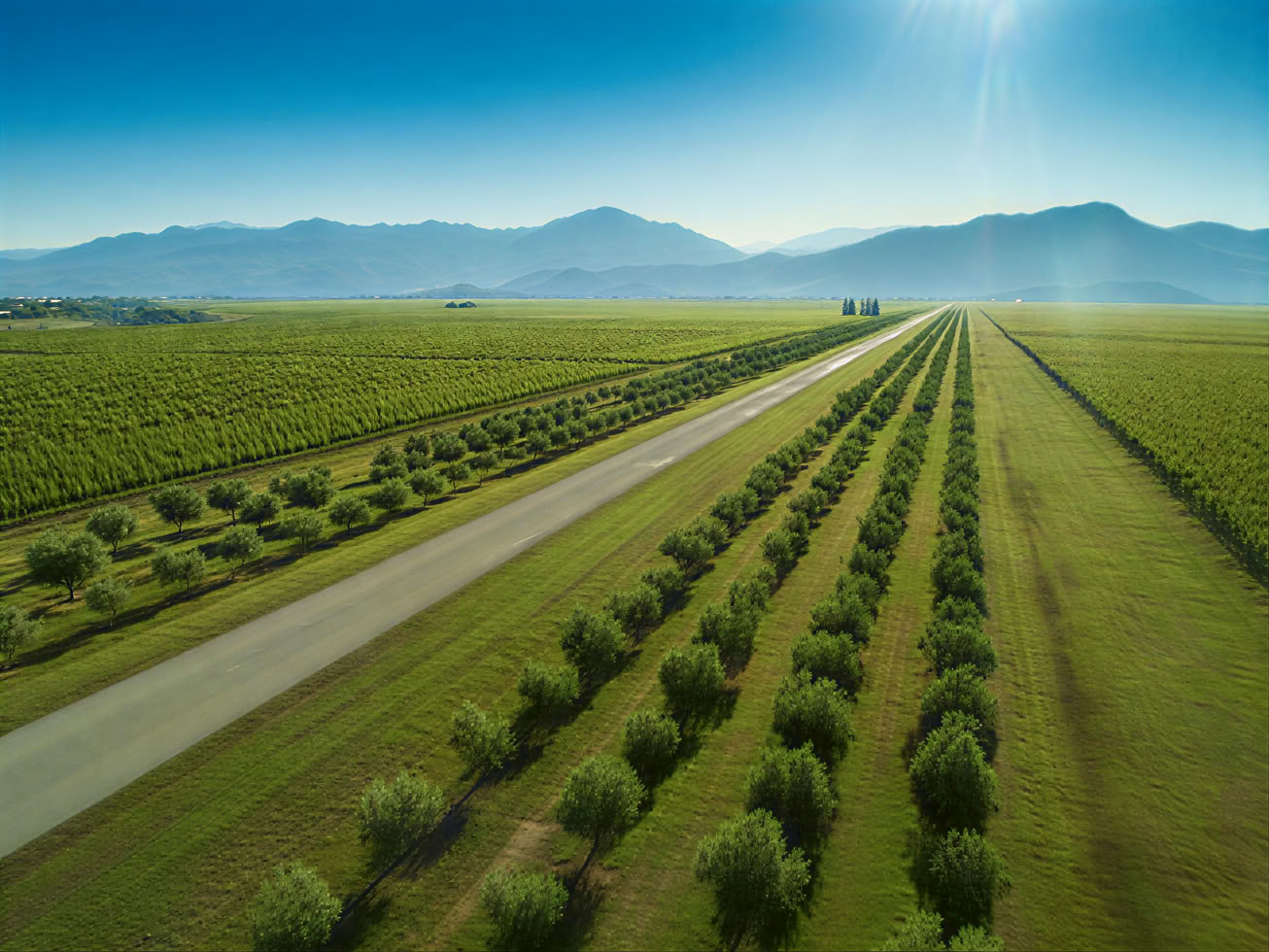 Традиционный и современный смешанный винный тур