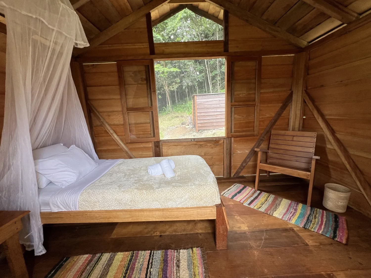 8-дневный | Новолуние в Деве — Джунгли Гармонии