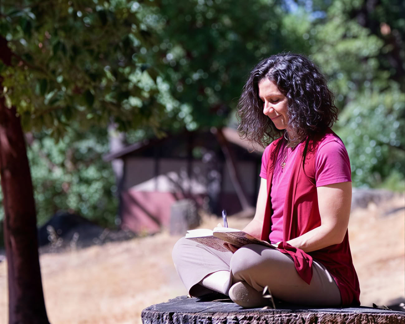 Йога-сутры: Разъясняя Патанджали