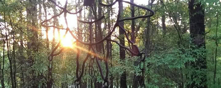 Эстес-Парк