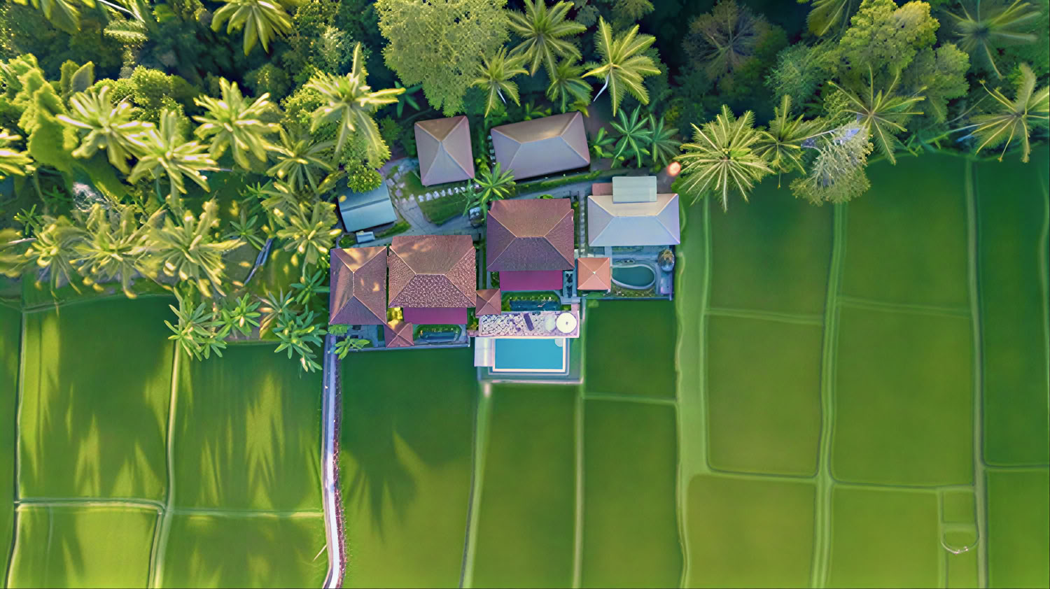 Незабываемый 7-дневный йога-ретрит в Firefly Retreat Bali