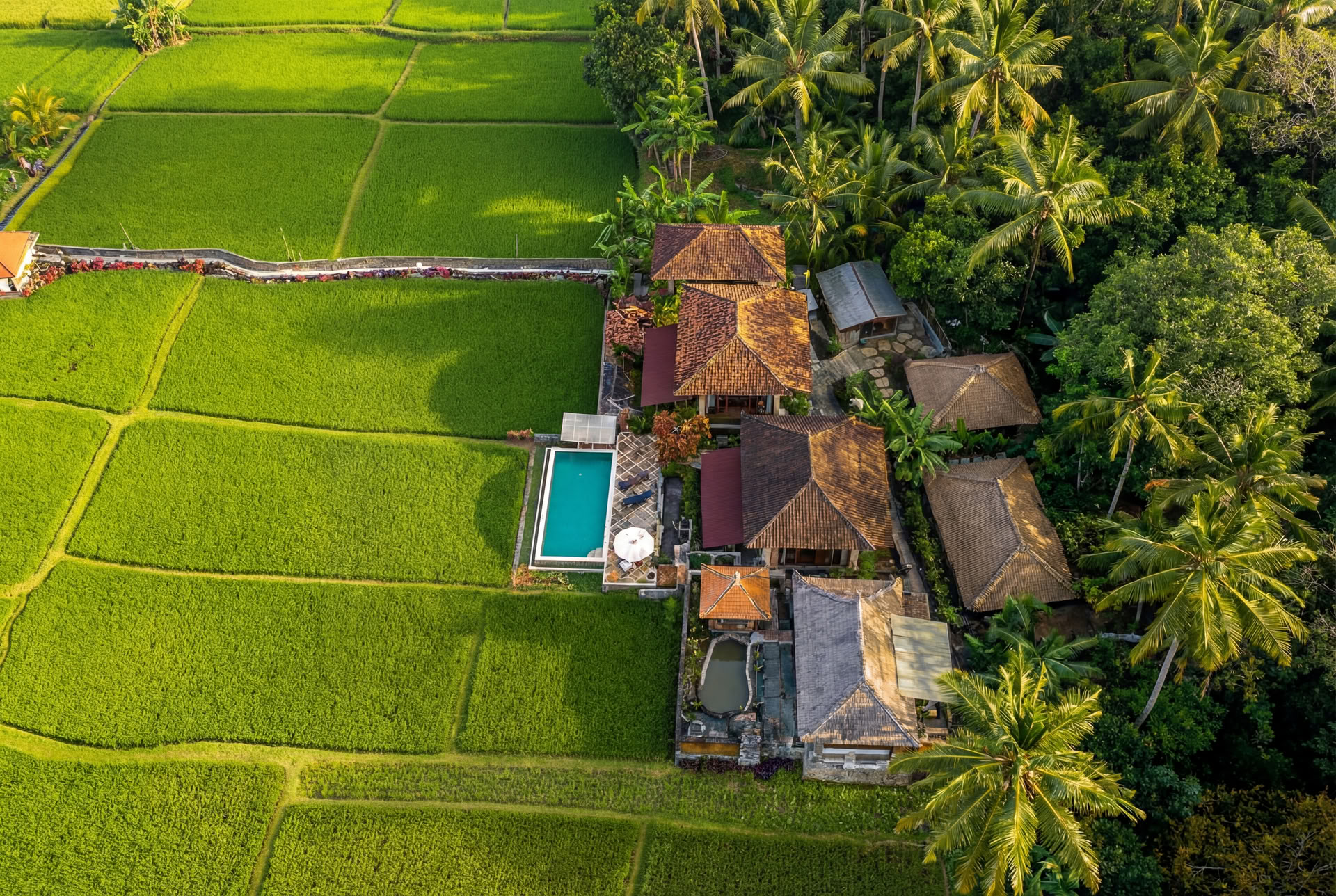 Незабываемый 7-дневный йога-ретрит в Firefly Retreat Bali