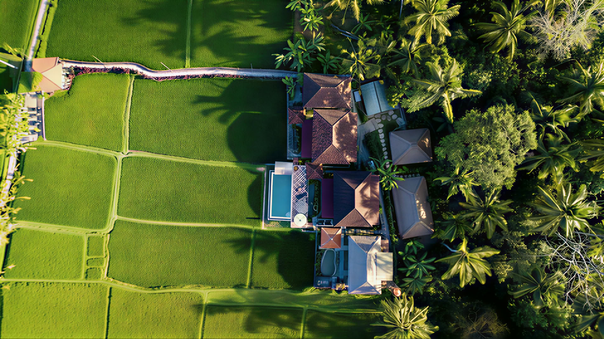 Незабываемый 7-дневный йога-ретрит в Firefly Retreat Bali