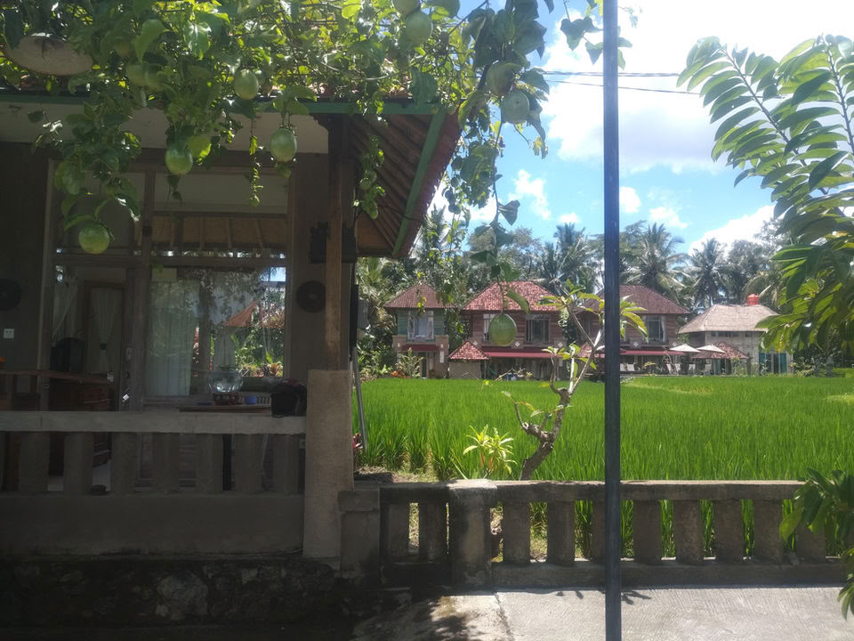 Незабываемый 7-дневный йога-ретрит в Firefly Retreat Bali