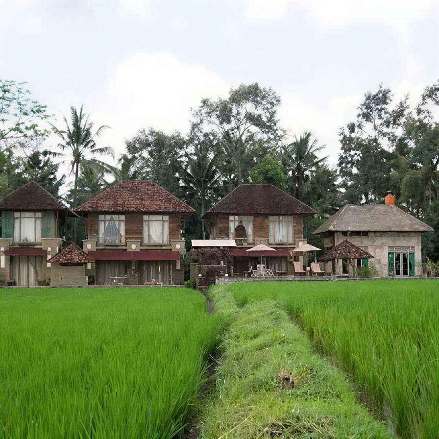 Незабываемый 7-дневный йога-ретрит в Firefly Retreat Bali