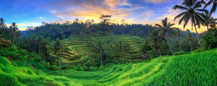 Незабываемый 7-дневный йога-ретрит в Firefly Retreat Bali