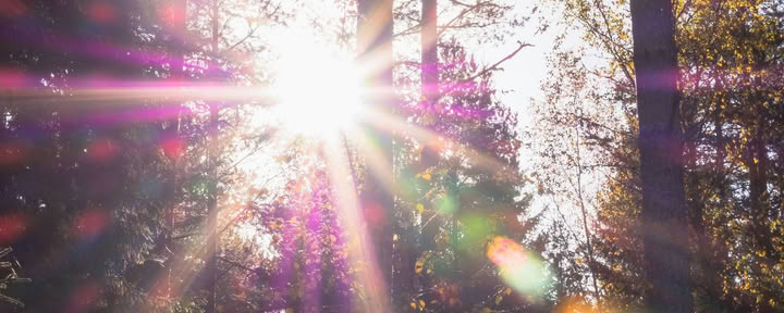 Ретриты Sistertalk — Позднелетнее сияние: ретрит стихии минералов/природы — Wild Nature Retreats