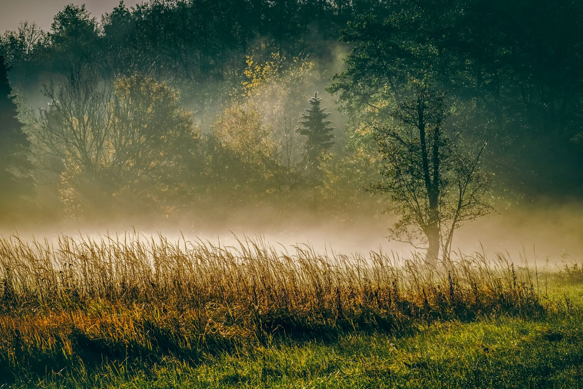 Ретрит ForREST: Осенний уикенд для заземления — Wild Nature Retreats