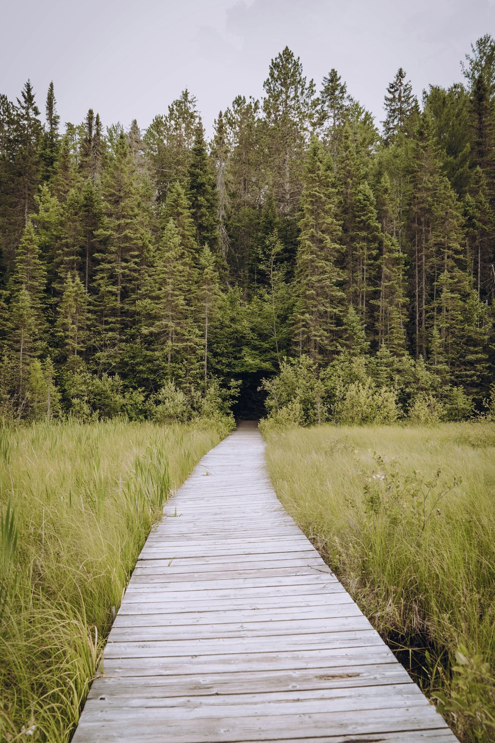 Ретрит ForREST: Летнее замедление