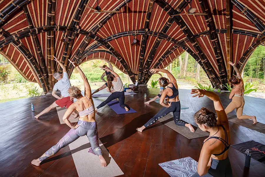 «Вайдика Дхарма: 100-часовой курс подготовки преподавателей SPIRIT Yoga»