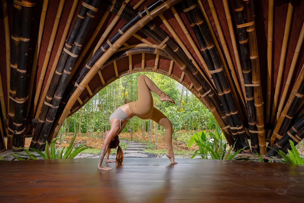 «Вайдика Дхарма: 100-часовой курс подготовки преподавателей SPIRIT Yoga»