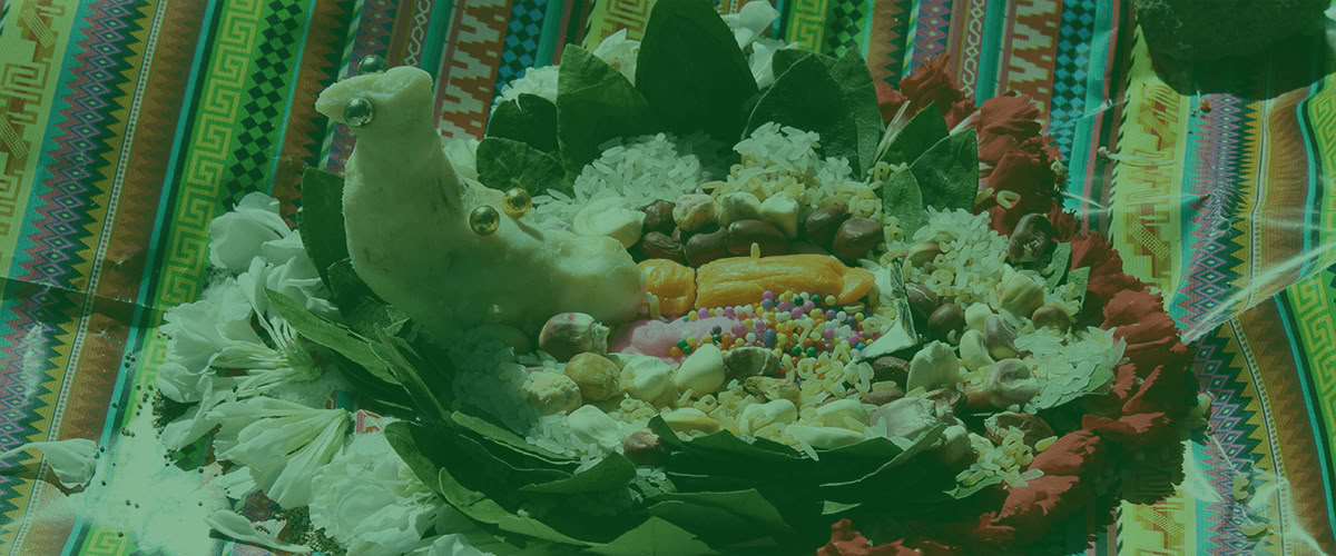 Целительный путь к радуге «Куйчи»