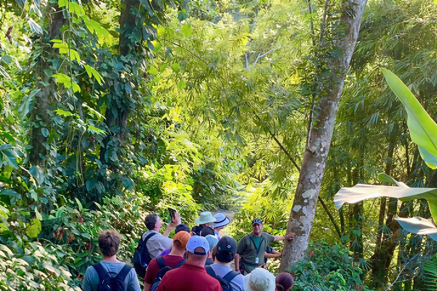 Прогулка по дикой и живописной тропической лесной природе к речному приключению