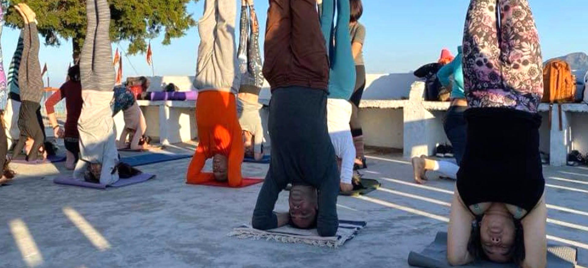 Курс йога-ретрита от Om Yoga Rishikesh