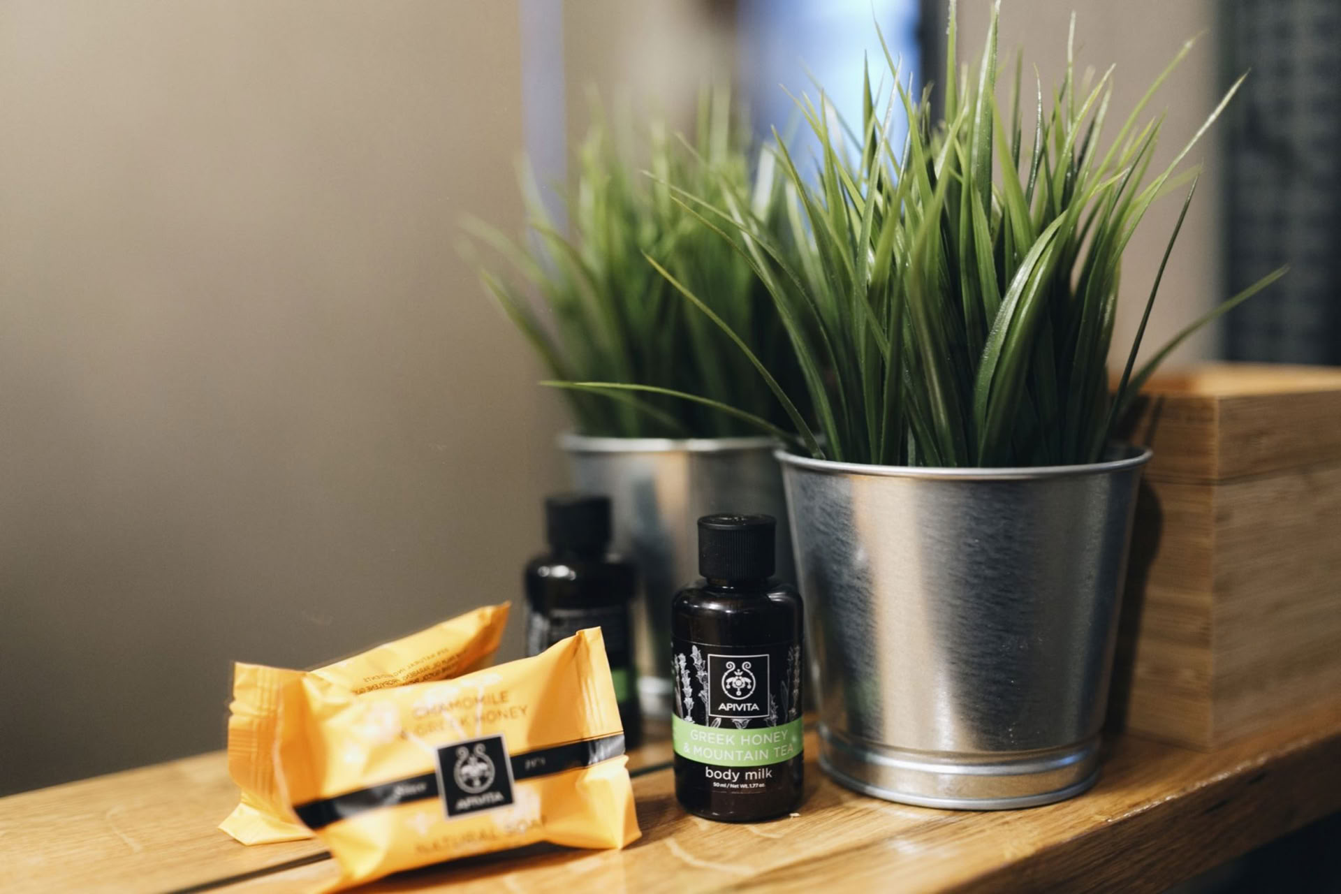 Ретрит Tata Wellness в Пелионе