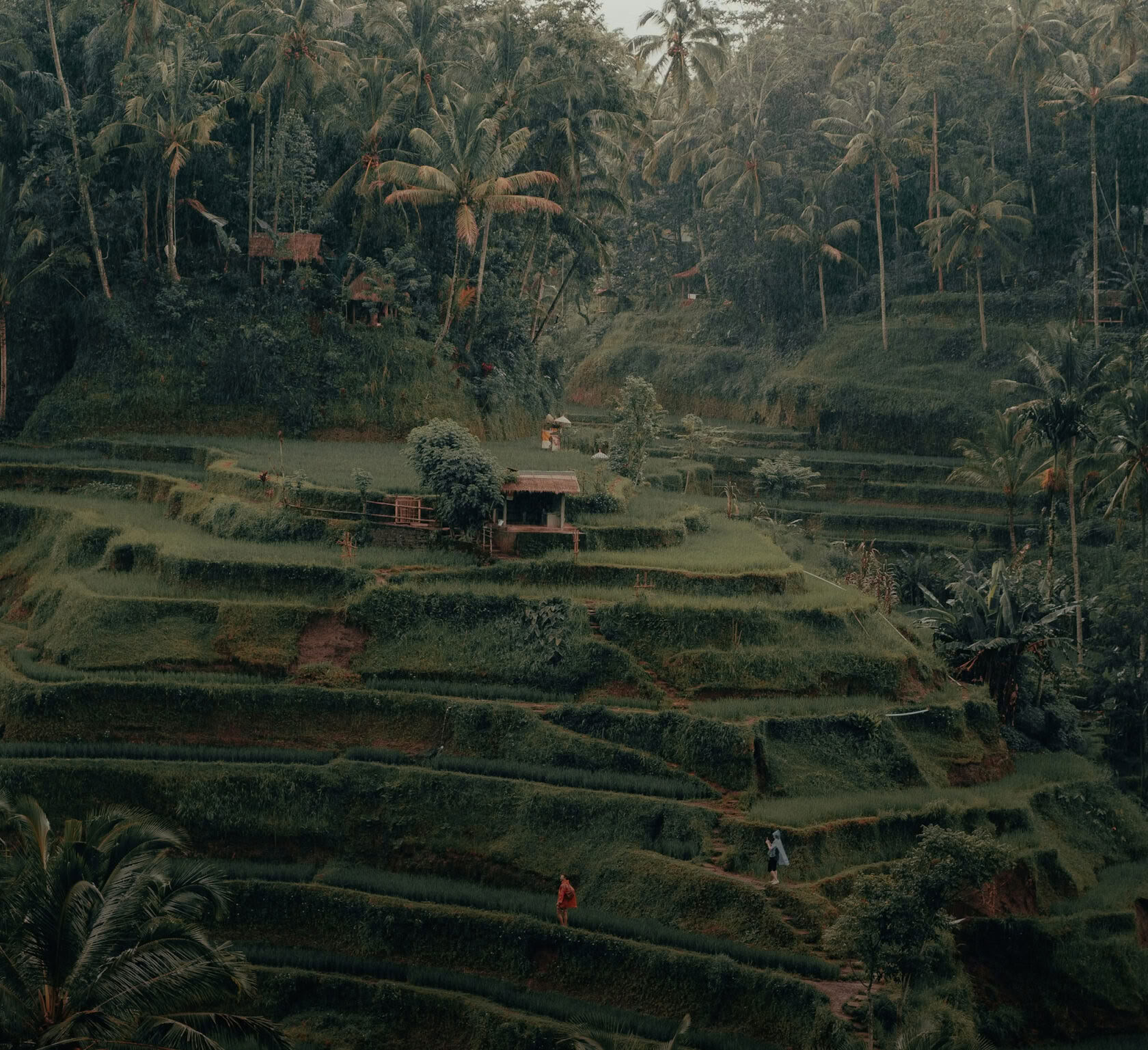 Гибридный курс подготовки преподавателей йоги на 200/300 часов — 26 сентября — 5 октября