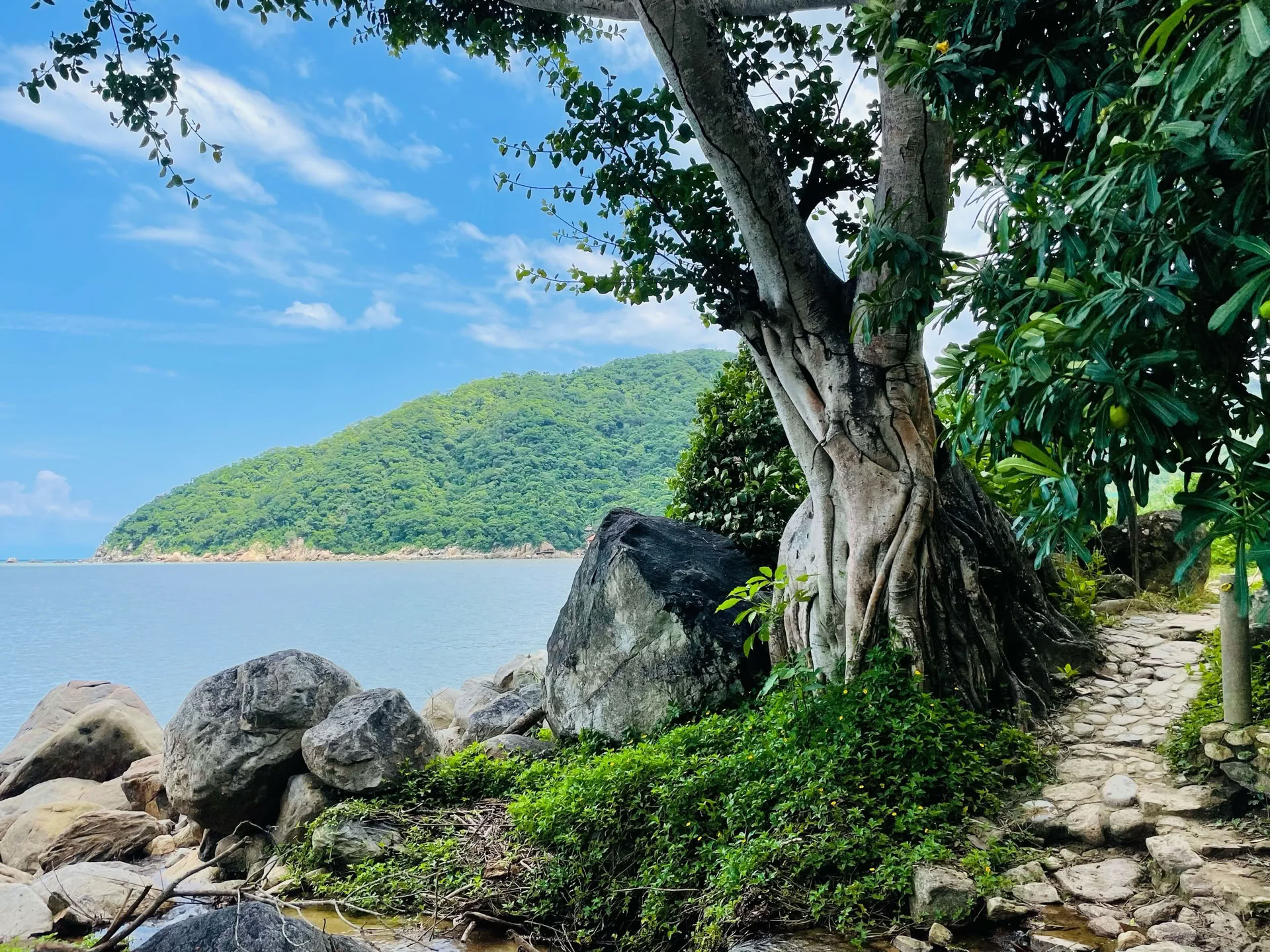 Исцели тонкие силы внутри: оздоровительный ретрит для перезагрузки и восстановления