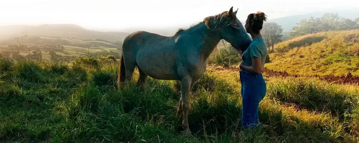 Дикая природа внутри