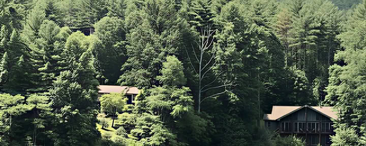 Паддлбординг на озере Холли-Берри в Северной Каролине
