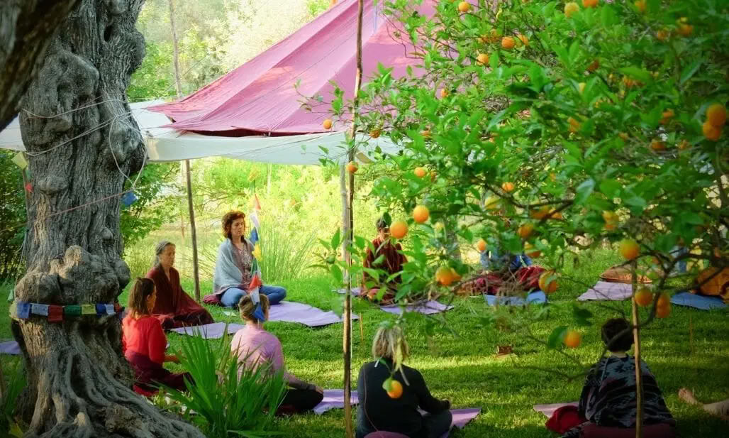 Йога- и медитативный ретрит «Назад к источнику»