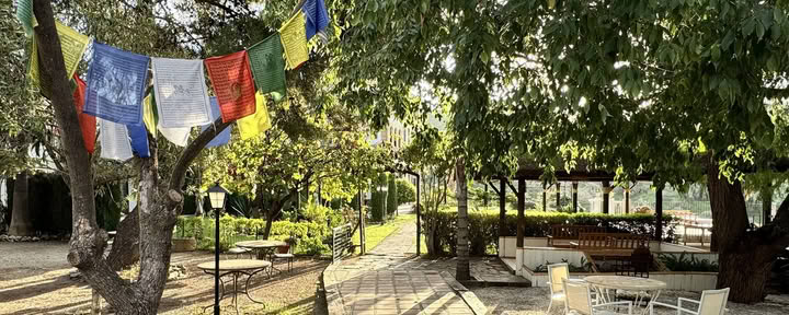Йога-ретрит в Испании — уровень для продолжающих — преподаватель йоги Айенгара уровня 3 Рэйчел Лавгроув