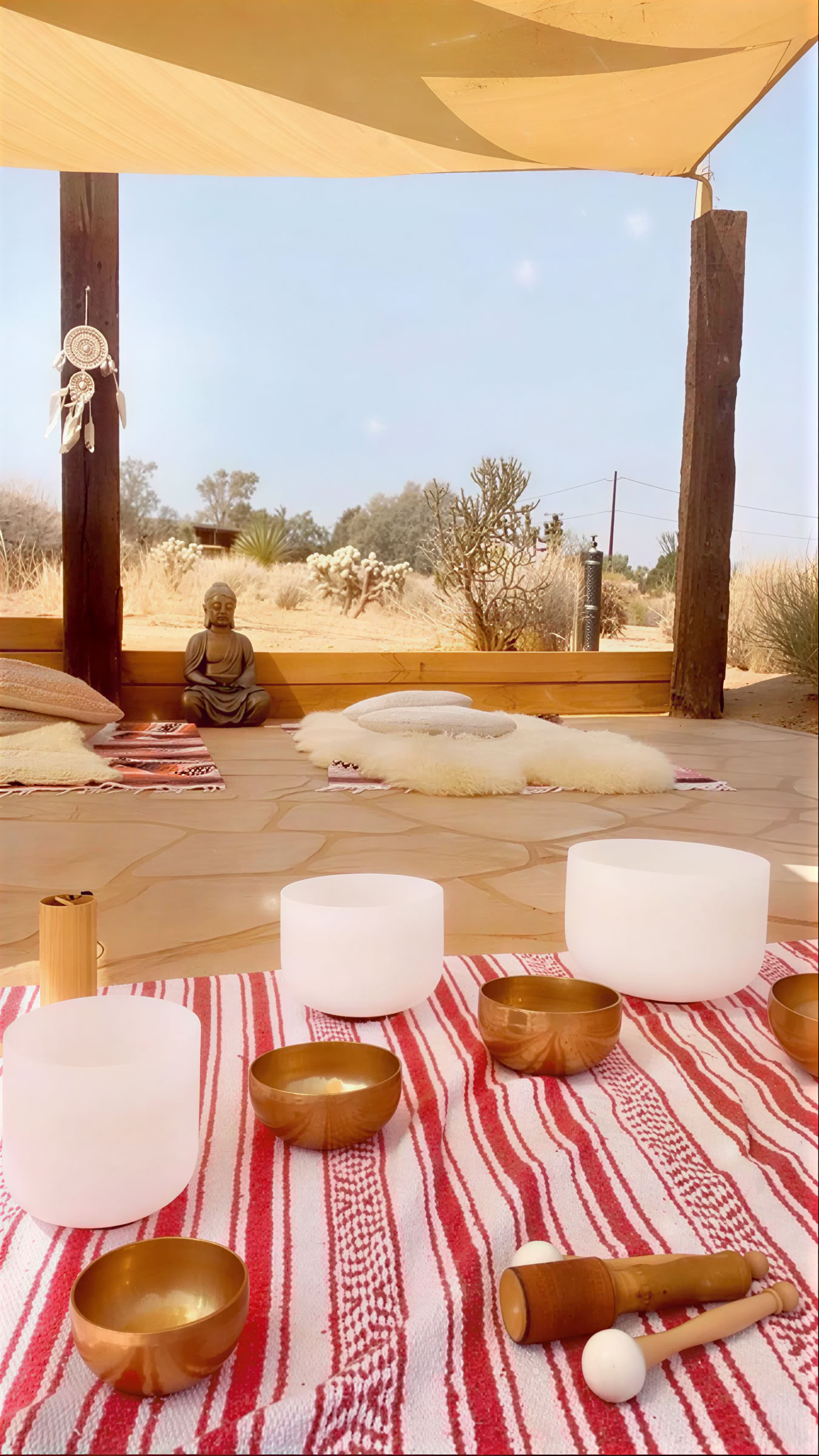 Однодневный ретрит Desert Om в Джошуа-Три