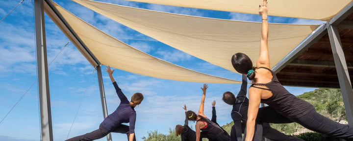 100-часовой курс подготовки преподавателей: Abhaya Yoga TT