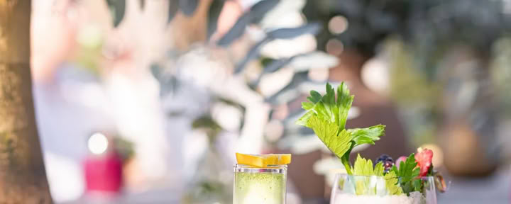 Ретрит Detox Deluxe в октябре