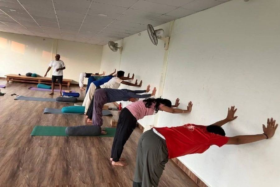Курс подготовки преподавателей йоги на 300 часов в Майсуре