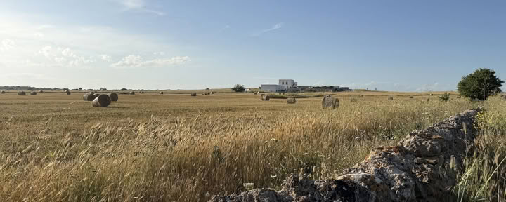 Разговоры с местом: творческая резиденция в Masseria Specula