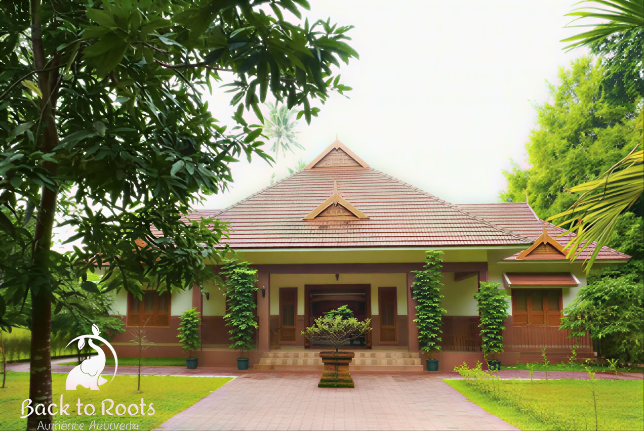 14-дневный детокс в Back to Roots Ayurveda