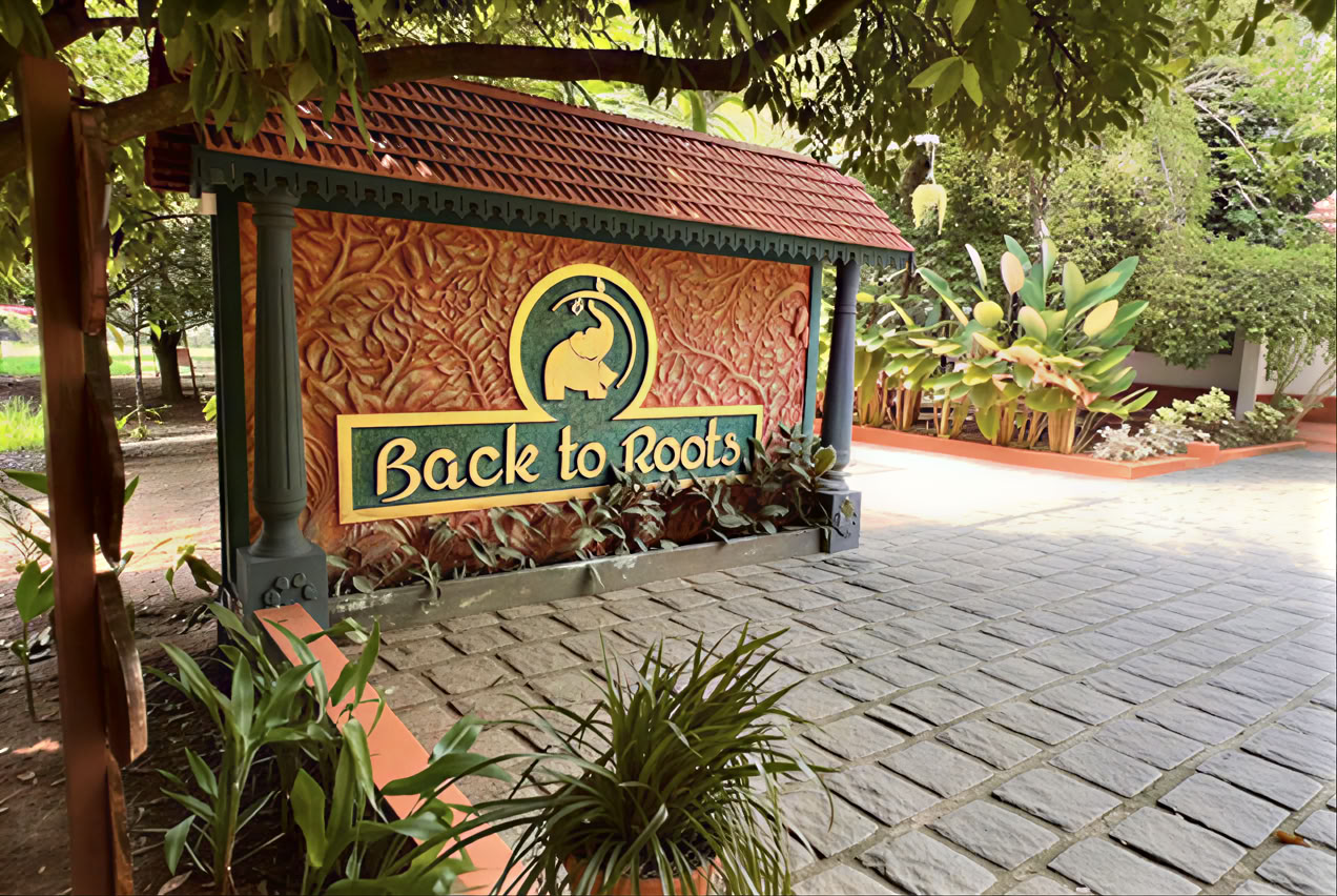 14-дневный детокс в Back to Roots Ayurveda