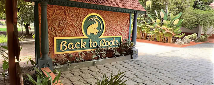 14-дневный детокс в Back to Roots Ayurveda