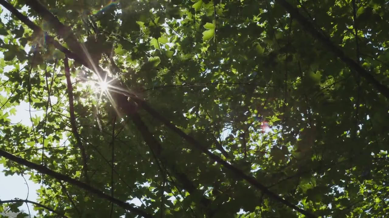 Ретрит по дыхательным практикам: Дыши и начни
