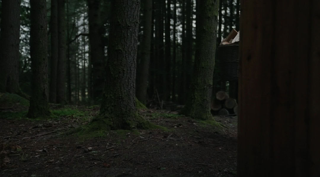 Сеансы в сауне