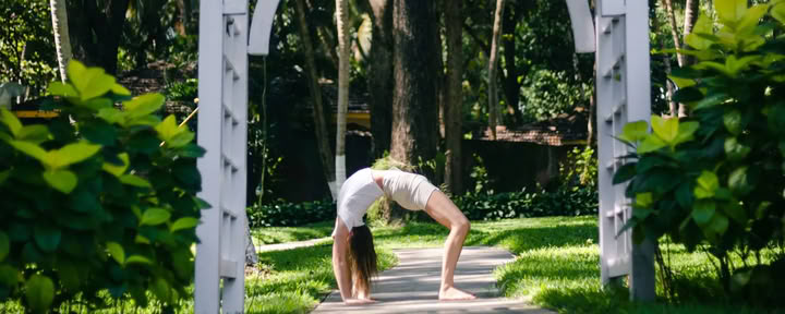 Йога-терапия для здоровья пищеварения и кишечника Agni Dipanam Yoga Chikitsa