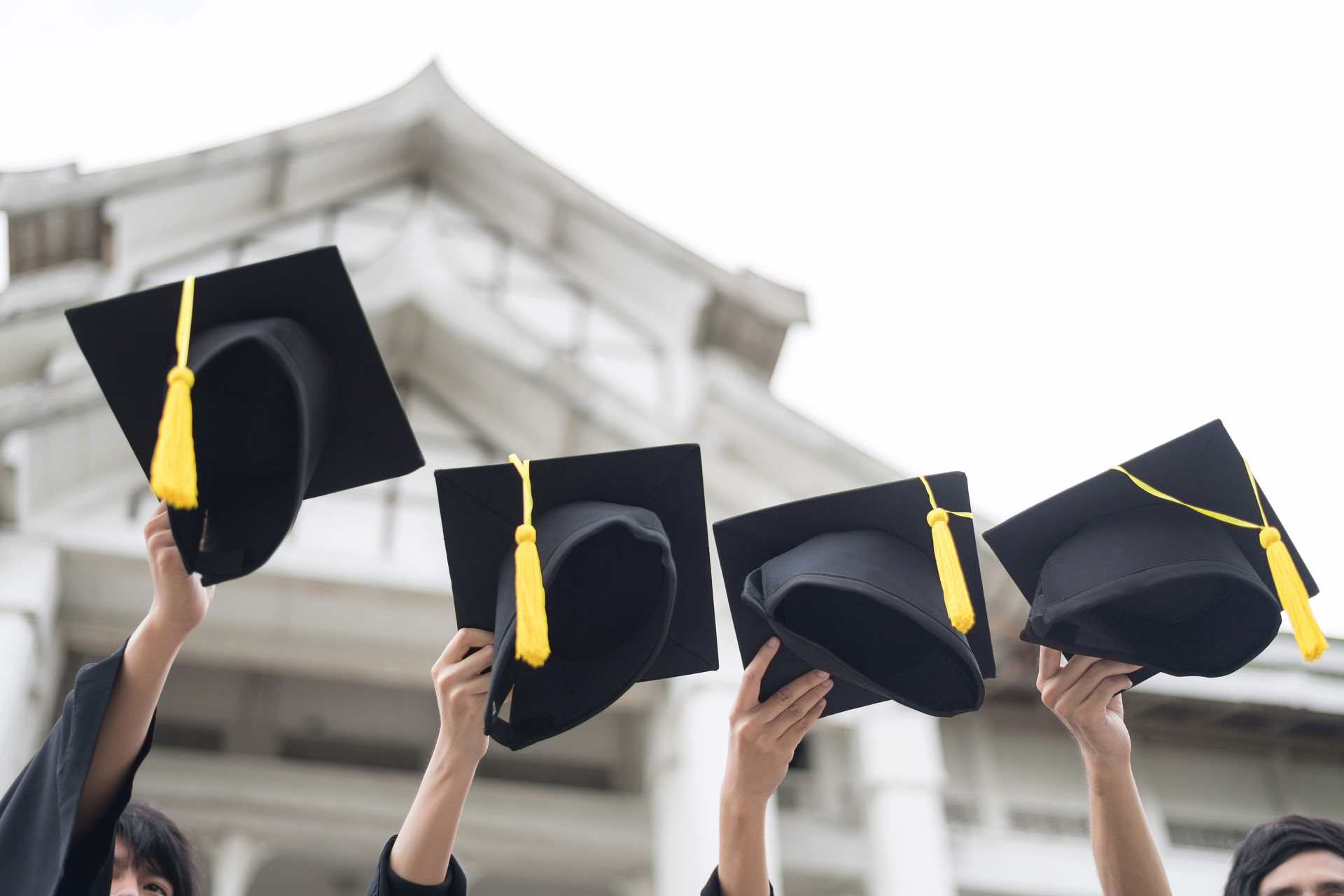 Уровень мастера и преподавателя рейки