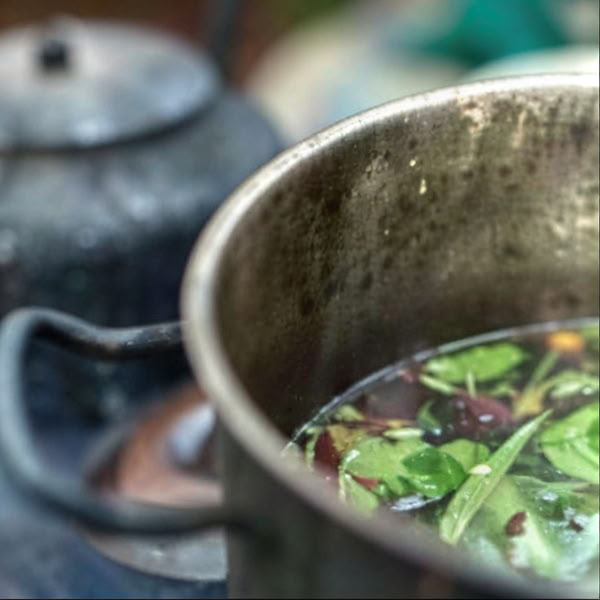 Ретрит с аяуаской, Икитос, Перу